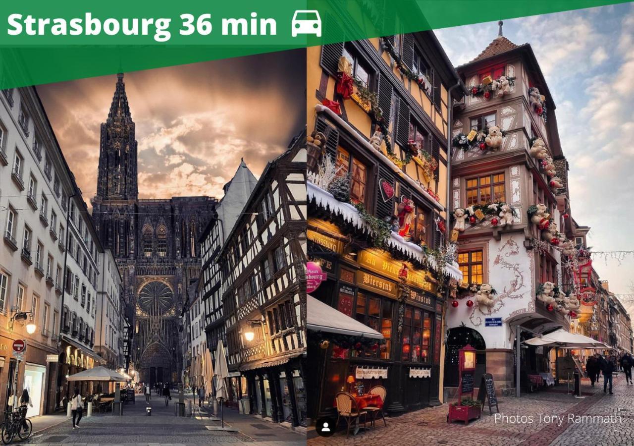 Auguste, La Romaine Et My Cesar - Location Saverne Ngoại thất bức ảnh